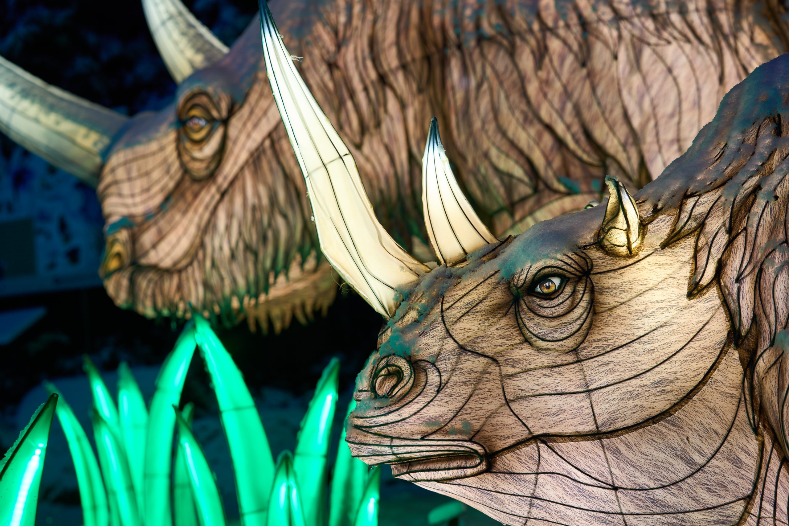 2026 01 05 China Lights 0188